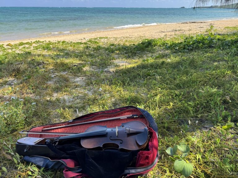 Practice media preview